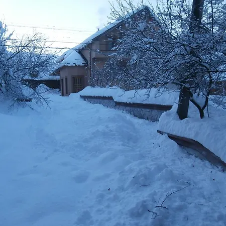 Volosky Potik Izky