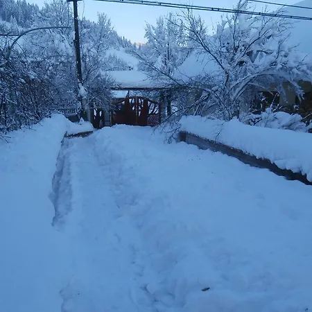 Volosky Potik