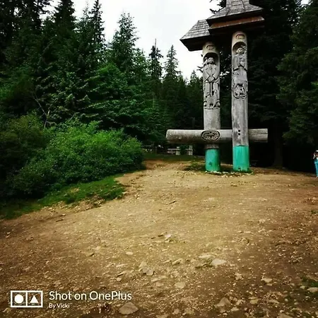 Volosky Potik