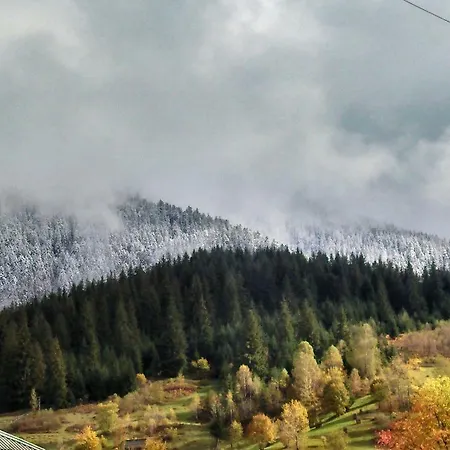 Volosky Potik