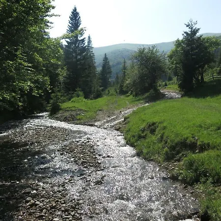 Volosky Potik